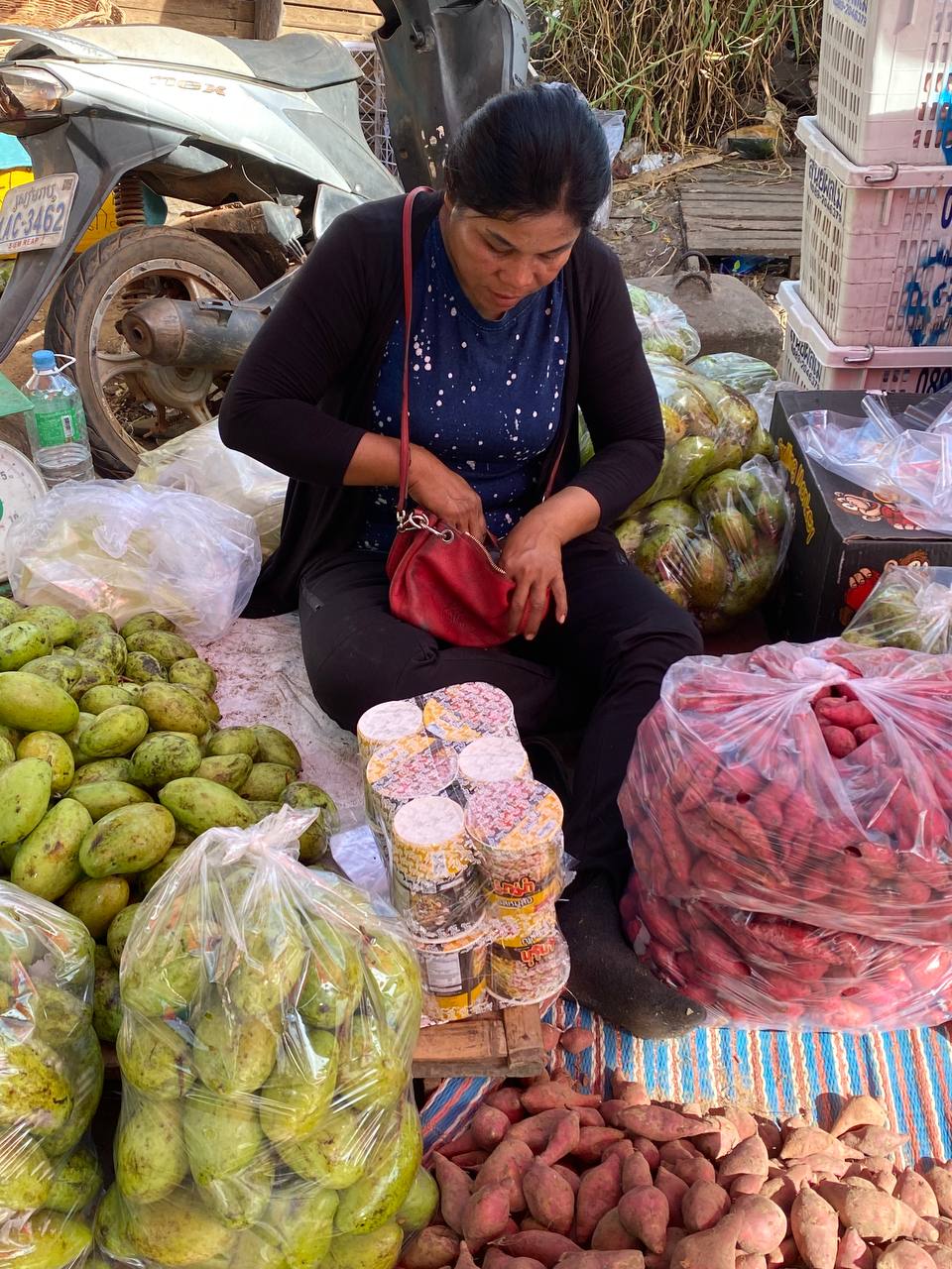 Siem Reap Branch Distribution FMCG Products by Da Houg Heng Enterprise Ltd. - Image 69